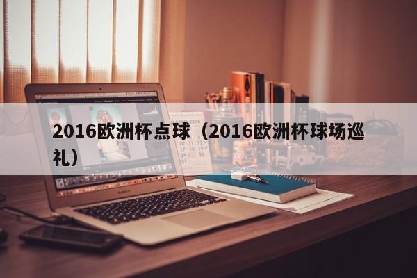 2016欧洲杯点球（2016欧洲杯球场巡礼）