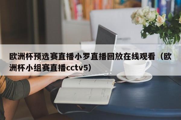 欧洲杯预选赛直播小罗直播回放在线观看（欧洲杯小组赛直播cctv5）